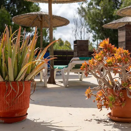 Oasis Beachfront & Apartments, By Zantewize *