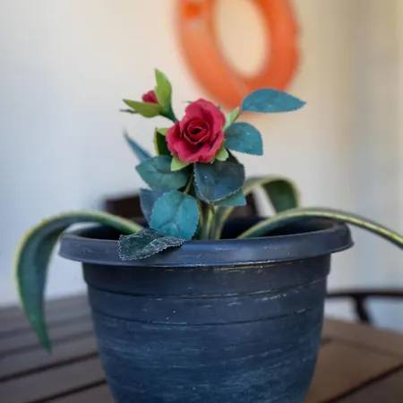 Oasis Beachfront & Apartments, By Zantewize