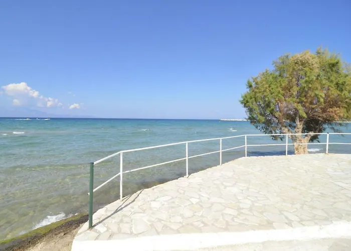 Oasis Beachfront & Apartments, By Zantewize Apartment *