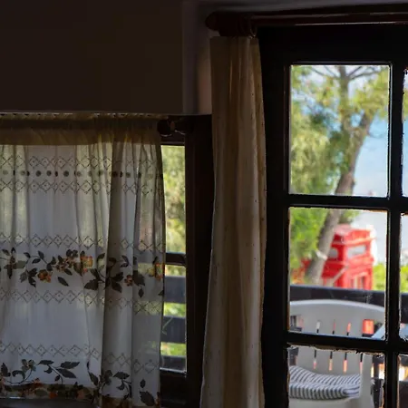 Oasis Beachfront & Apartments, By Zantewize 아파트 알리카나스