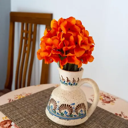 Oasis Beachfront & Apartments, By Zantewize 아파트